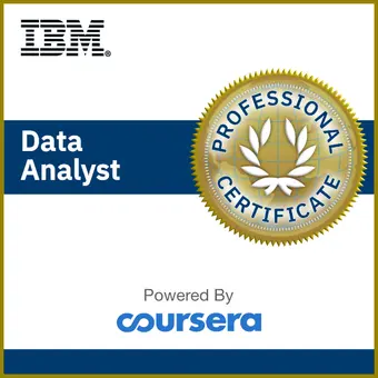 Professional Data Analyst